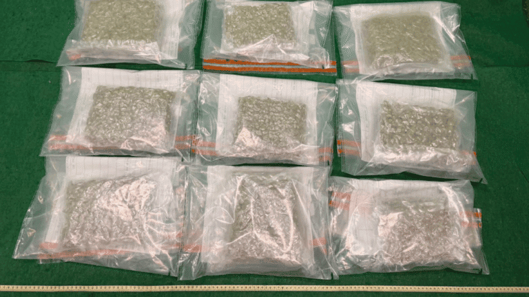 香港海關機場連破兩宗毒品案 檢437萬元大麻花及可卡因拘兩男