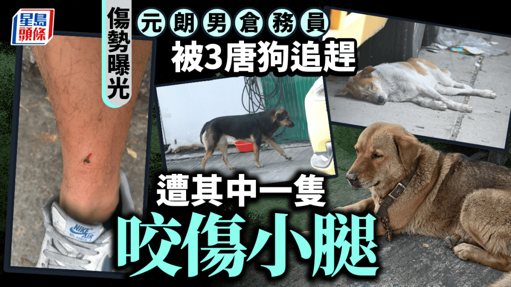 元朗再有狗隻襲擊途人 倉務員上班途中遭咬傷