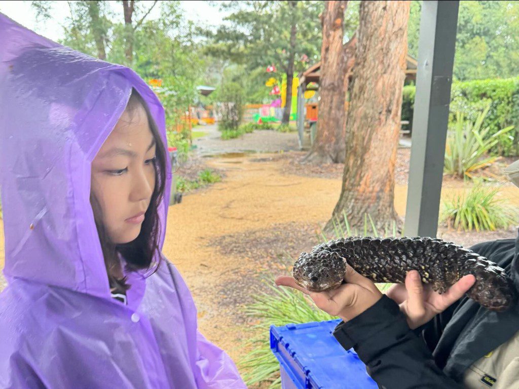 蔡少芬女兒越大越似媽咪。