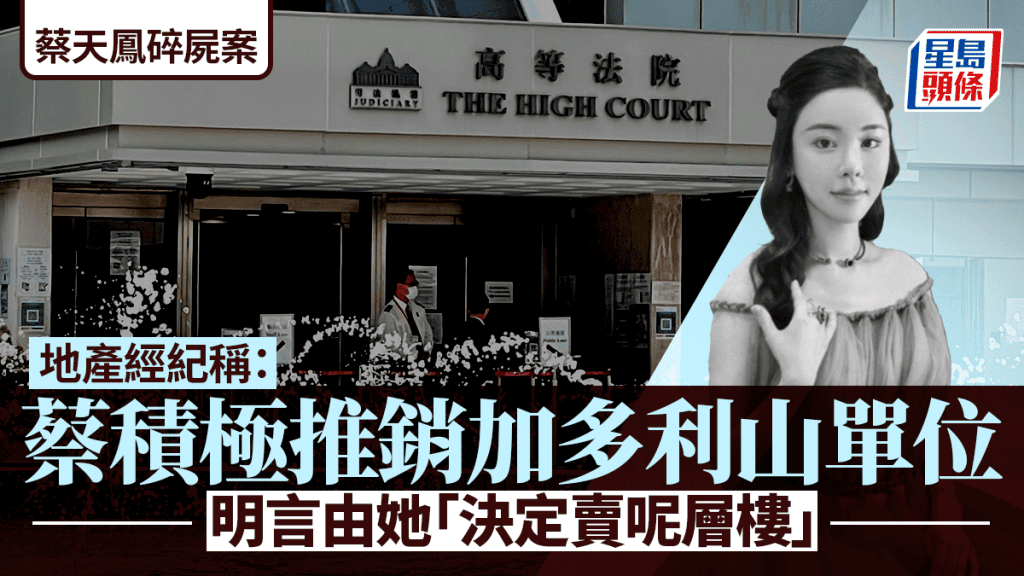 蔡天鳳案審訊｜地產經紀指事主積極推售加多利山單位 稱決定賣樓