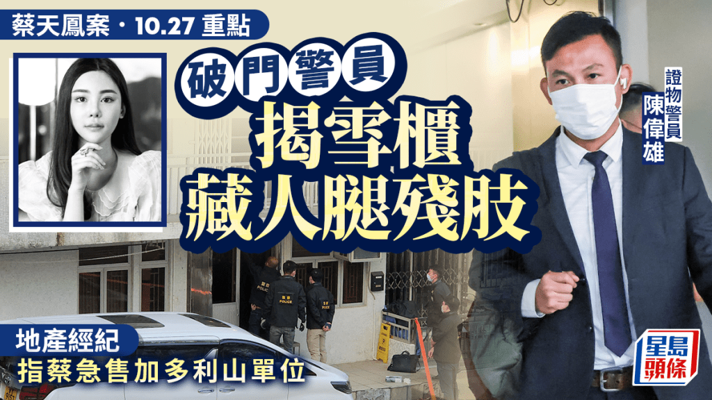 蔡天鳳案審訊重點:警方披露案發單位蒐證 經紀指蔡急售加多利山單位