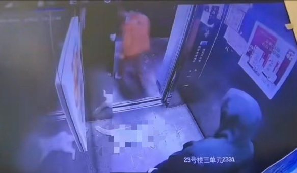 河南母子被指於升降機內虐待流浪貓致死 閉路電視記錄過程