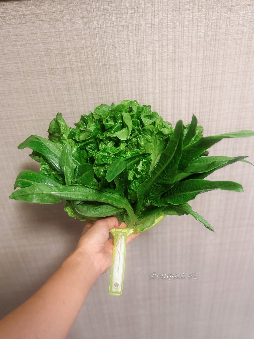 黃心穎手持生菜,幽默稱其為老公送的第二束花。