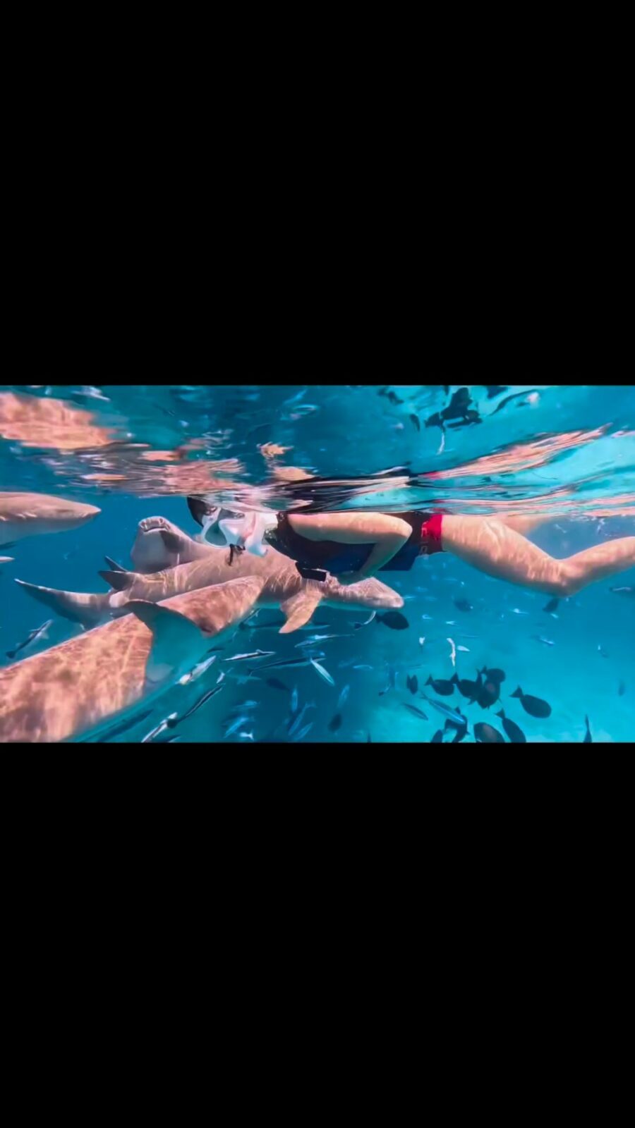 旅程中盡情享受潛水樂趣。