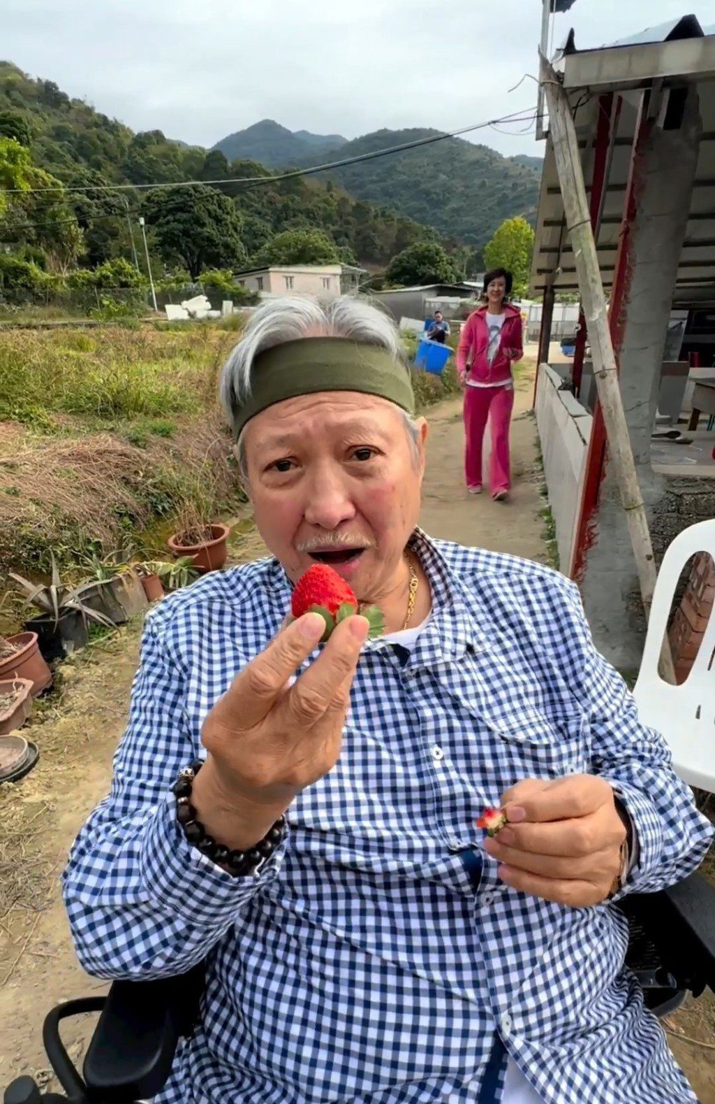 洪金寶近年已處於半退休狀態。