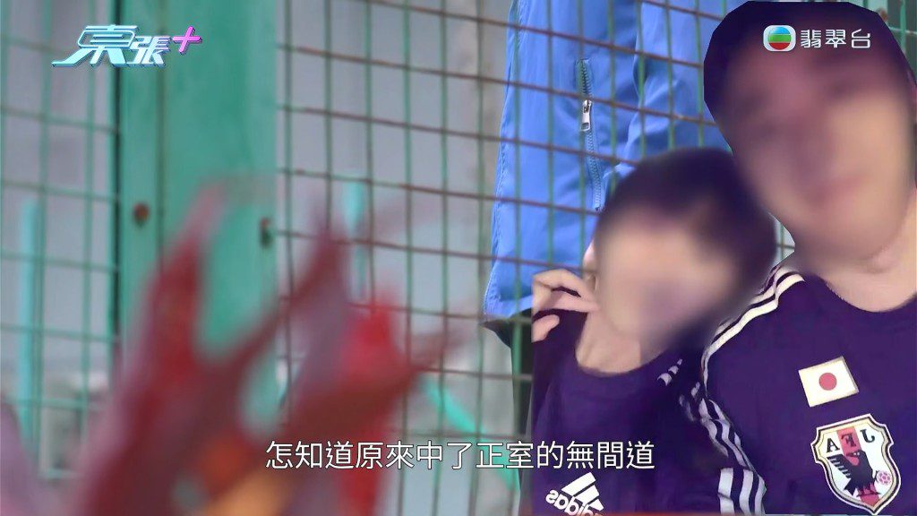 楊小姐萬萬沒想到，自己追求真愛，卻跌入了正室設下的局中。