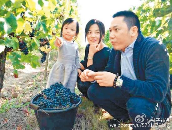 趙薇與黃有龍育有一名女兒。